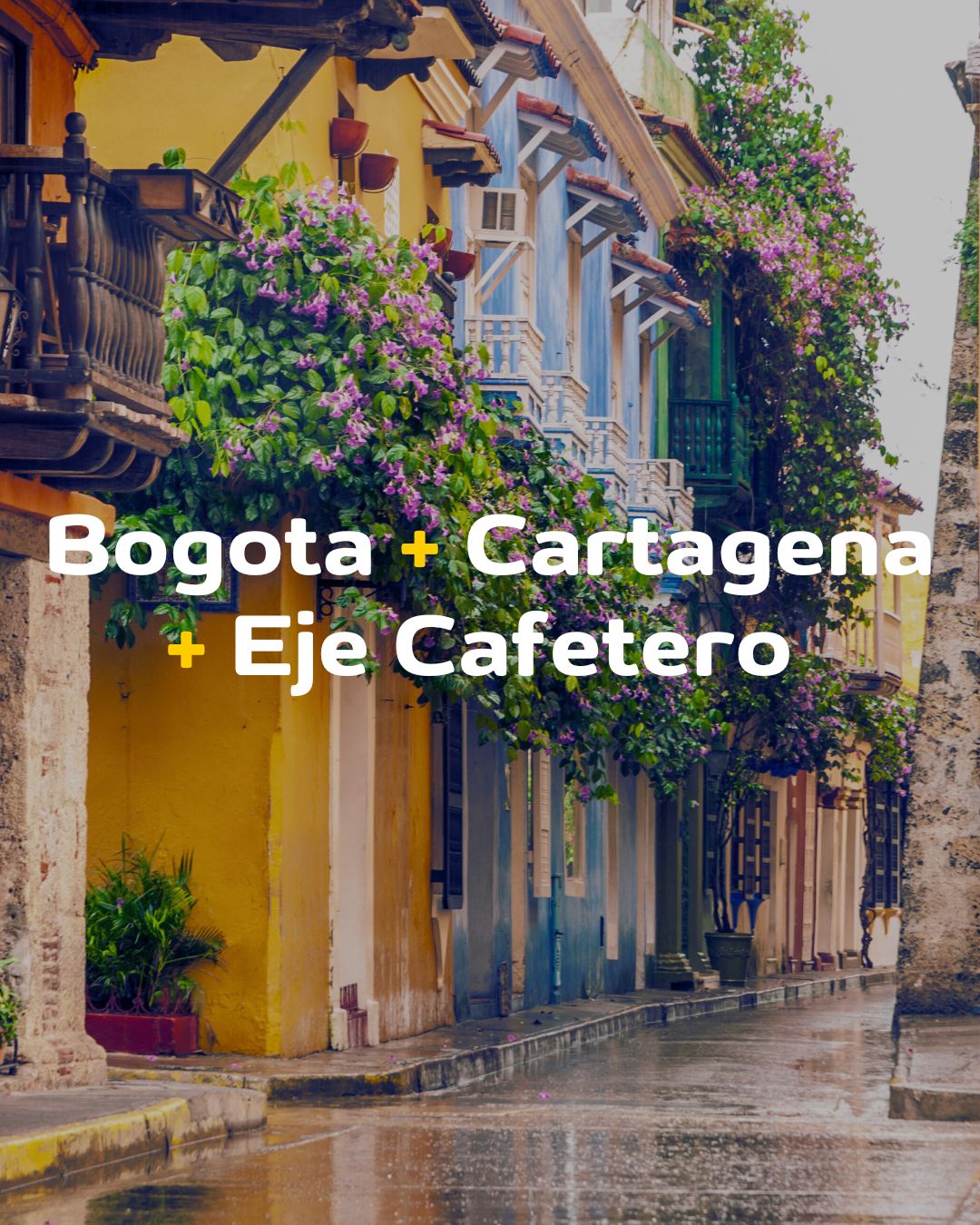 BOGOTÁ, PAISAJE CAFETERO Y CARTAGENA